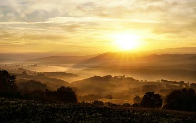 Forskningen bakom Conscious Connected Breathwork